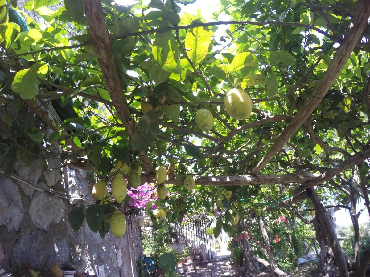 Casa Hermosa Αμάλφι Εξωτερικό φωτογραφία